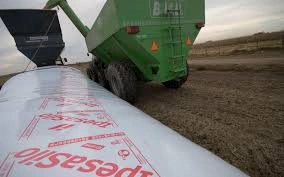IpesaSilo - Innovación y Liderazgo en Almacenamiento de Granos