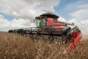 Case - Cosechadora Case Axial Flow Serie 250