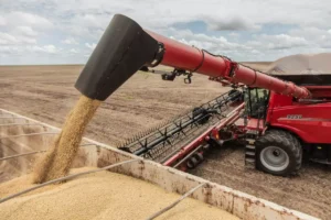 Case - Cosechadora Case Axial Flow Serie 250 - Image 3