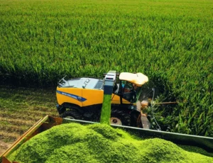 New Holland - FR Forage Cruiser - Image 3