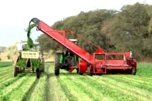 Tecnología Pérez - Segadora TP-SA2013