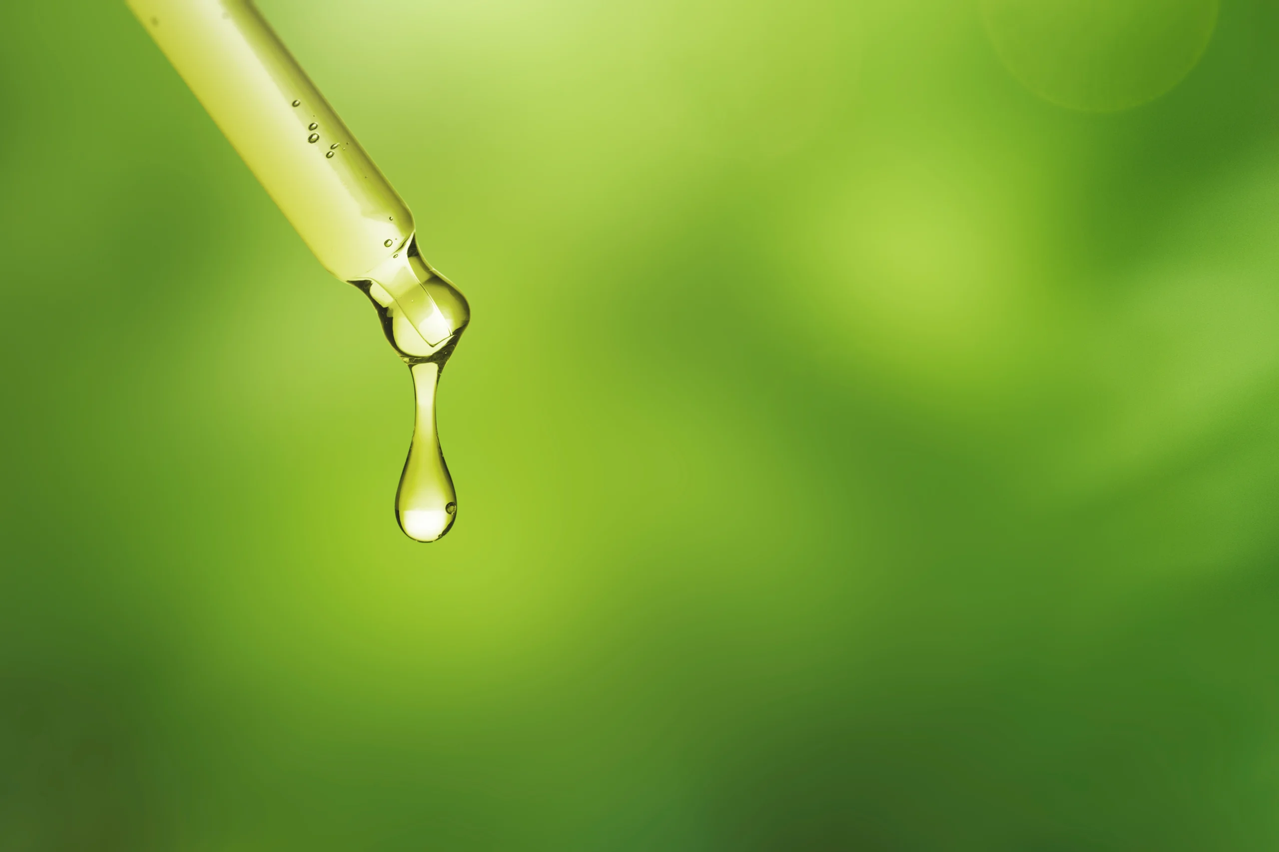 Aceite usado de cocina: energía que cruza fronteras